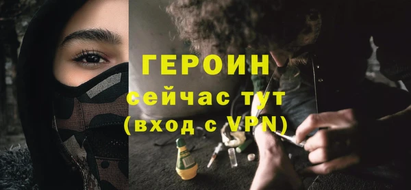 индика Беломорск
