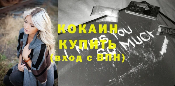 индика Беломорск