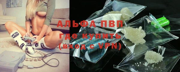 индика Беломорск